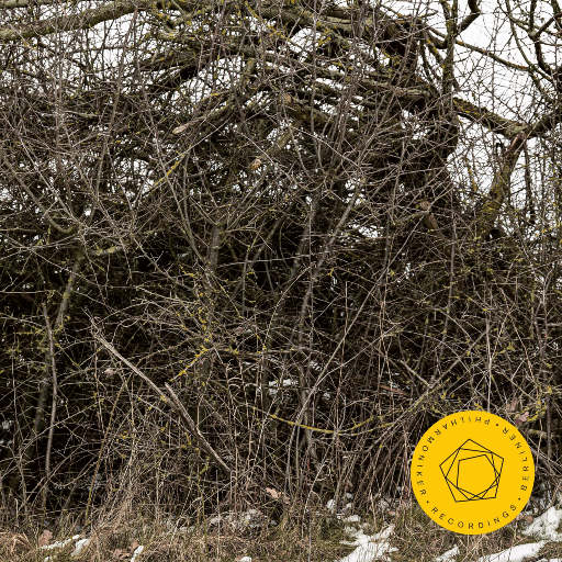 女孩子光溜溜在家里好吗
